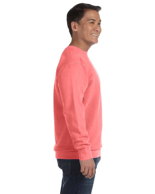 Adult Crewneck Sweatshirt