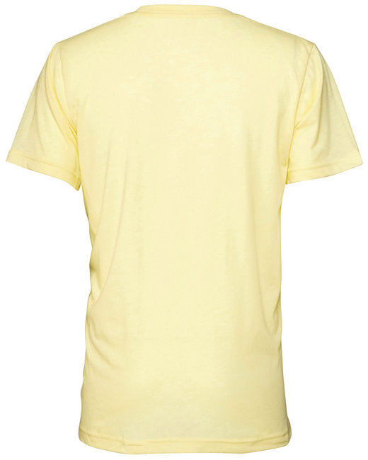 Bella + Canvas Unisex Triblend T-Shirt