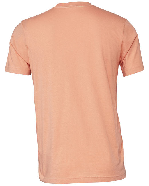 Bella + Canvas Unisex Jersey T-Shirt